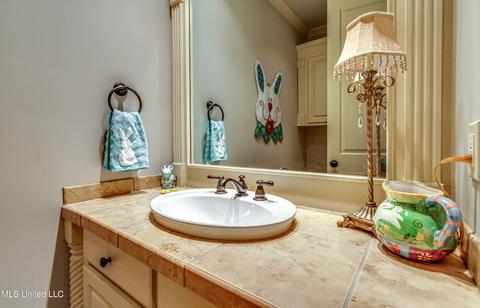 107 Blackberry Patch, Madison, MS 39110 photo 30