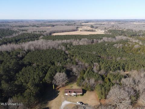 133 King Rd, Belden, MS 38826 photo 1