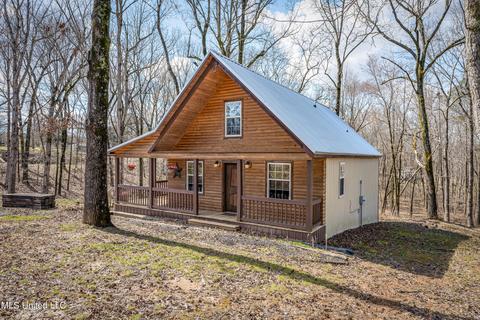 62 Katherine Dr, Sardis, MS 38666 photo 4