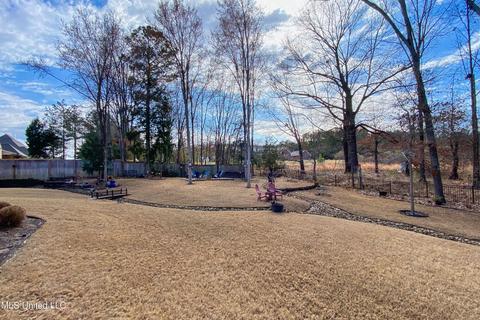 121 Eagle Cv, Madison, MS 39110 photo 64