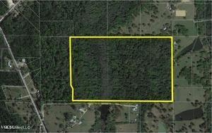 Firetower Road, Pass Christian, MS 39571