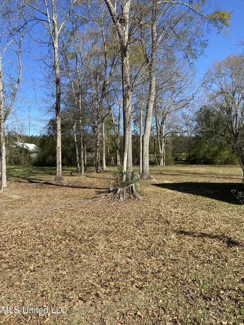 25 Opal St, State Line, MS 39362 photo 27