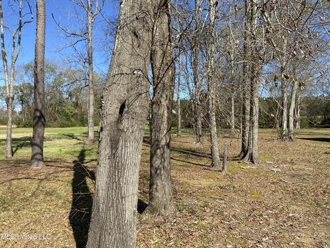 25 Opal St, State Line, MS 39362 photo 26