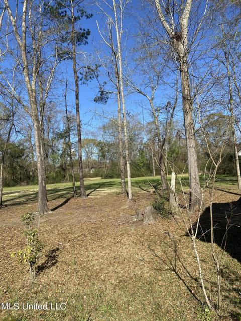 25 Opal St, State Line, MS 39362 photo 25