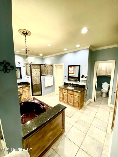 317 Avalon Way, Brandon, MS 39047 photo 24