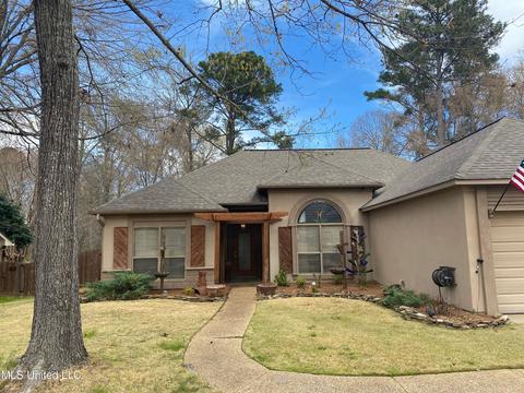317 Avalon Way, Brandon, MS 39047 photo 3