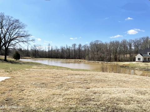 8669 Cole Rd, Olive Branch, MS 38654 photo 42