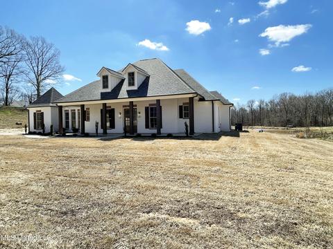 8669 Cole Rd, Olive Branch, MS 38654 photo 5