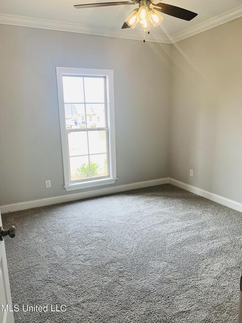 302 Autumn Cv, Madison, MS 39110 photo 19