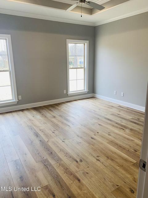 302 Autumn Cv, Madison, MS 39110 photo 12