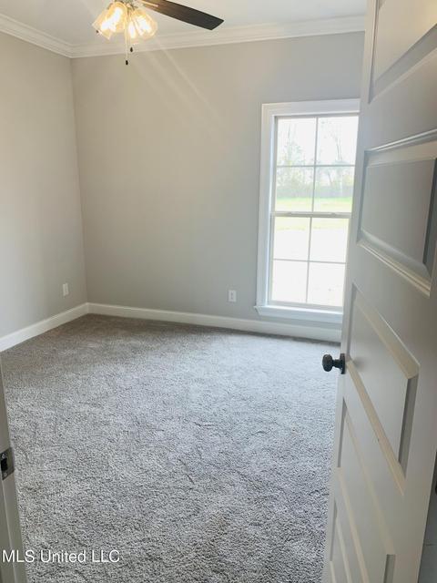302 Autumn Cv, Madison, MS 39110 photo 23