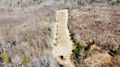 3051 Co Rd 87, Vaiden, MS 39176 photo 10