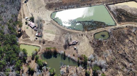 3051 Co Rd 87, Vaiden, MS 39176 photo 4