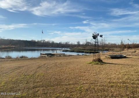 3051 Co Rd 87, Vaiden, MS 39176 photo 3