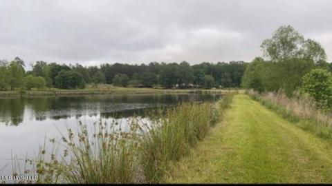 3051 Co Rd 87, Vaiden, MS 39176 photo 9