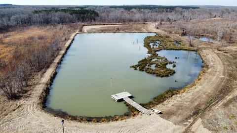 3051 Co Rd 87, Vaiden, MS 39176 photo 1