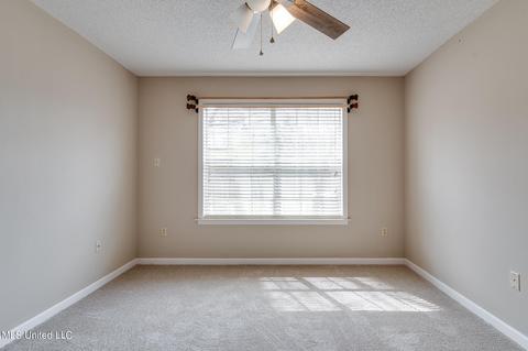 9819 Michael Lee Cv, Olive Branch, MS 38654 photo 11