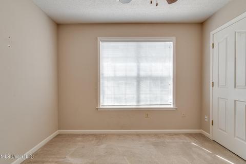 9819 Michael Lee Cv, Olive Branch, MS 38654 photo 21