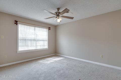 9819 Michael Lee Cv, Olive Branch, MS 38654 photo 10