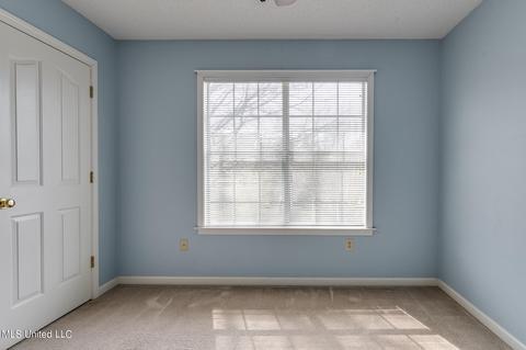 9819 Michael Lee Cv, Olive Branch, MS 38654 photo 25