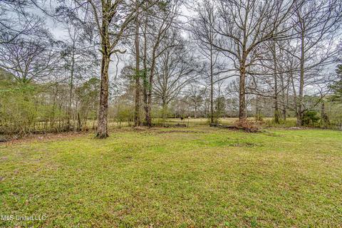 865 Lq Reeves Rd, Forest, MS 39074 photo 55