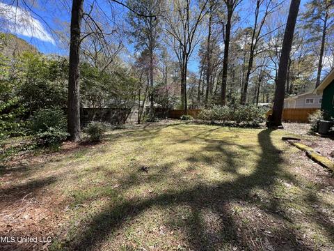 5546 Pine Lane Dr, Jackson, MS 39211 photo 20