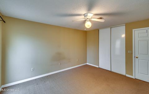 244 Mackey Dr, Madison, MS 39110 photo 30