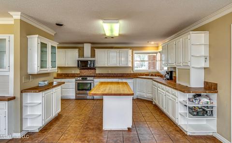 244 Mackey Dr, Madison, MS 39110 photo 10