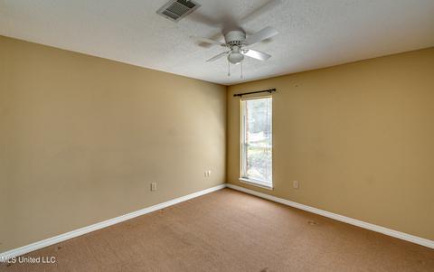 244 Mackey Dr, Madison, MS 39110 photo 24