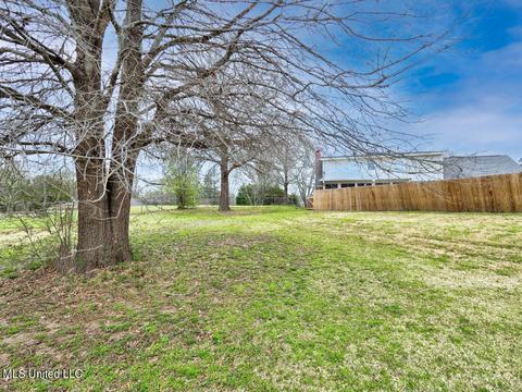 3041 Ivy Ln, Hernando, MS 38632 photo 34