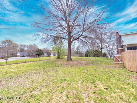 3041 Ivy Ln, Hernando, MS 38632 photo 35