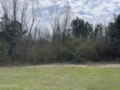 360 Marbo Rd, Carthage, MS 39051 photo 32