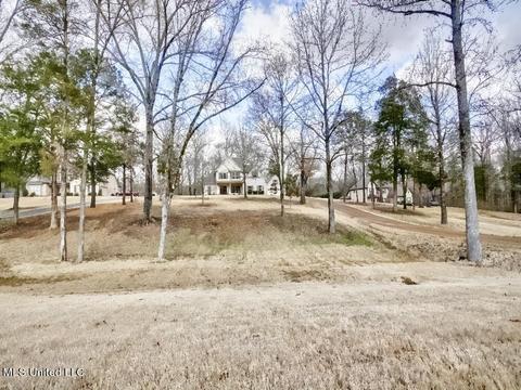 446 Belmont Estates Dr, Hernando, MS 38632 photo 46
