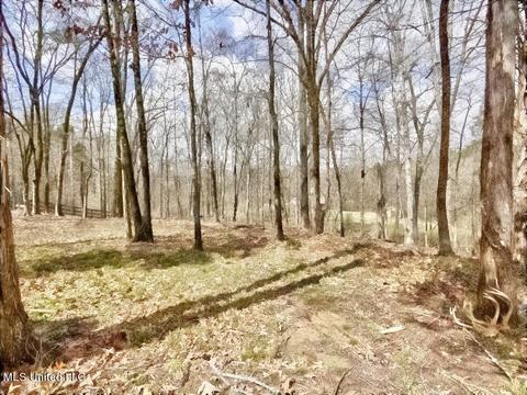 446 Belmont Estates Dr, Hernando, MS 38632 photo 42
