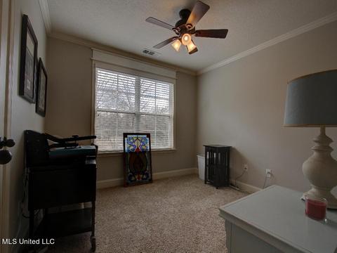 446 Belmont Estates Dr, Hernando, MS 38632 photo 32