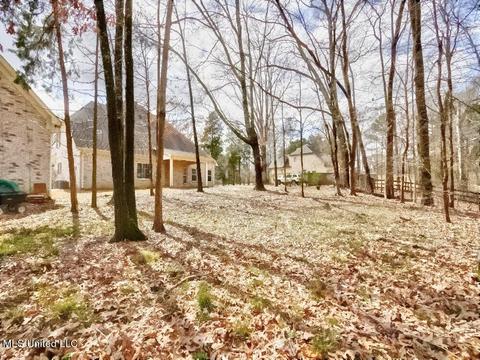 446 Belmont Estates Dr, Hernando, MS 38632 photo 41