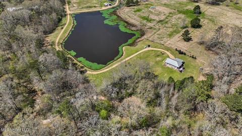 1770 Stubbs Rd, Terry, MS 39170 photo 51