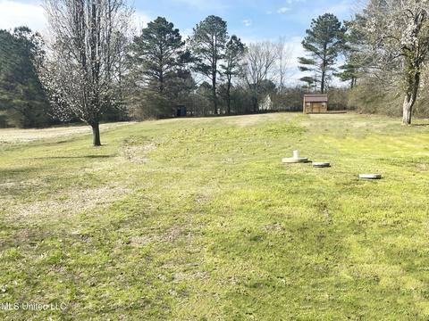 3329 Bett Rd, Coldwater, MS 38618 photo 7