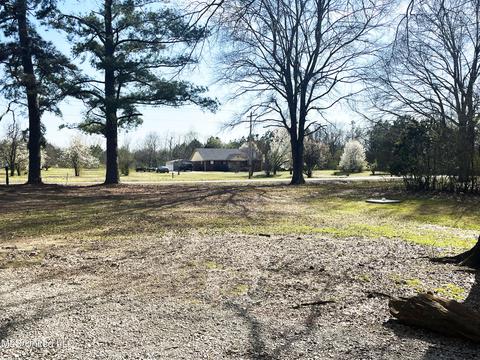 3329 Bett Rd, Coldwater, MS 38618 photo 4