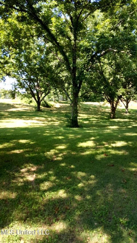 455 Getwell Rd S, Hernando, MS 38632 photo 2