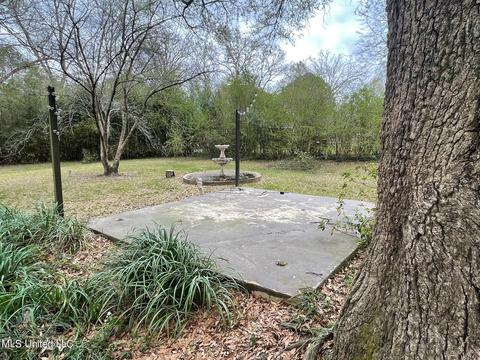 1334 E Peace St, Canton, MS 39046 photo 59
