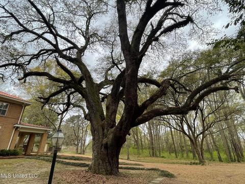 1334 E Peace St, Canton, MS 39046 photo 57