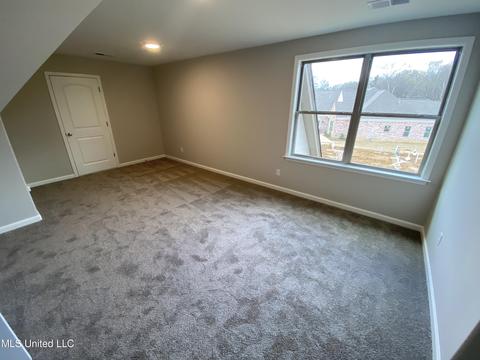2944 Melanie Cv, Nesbit, MS 38651 photo 12