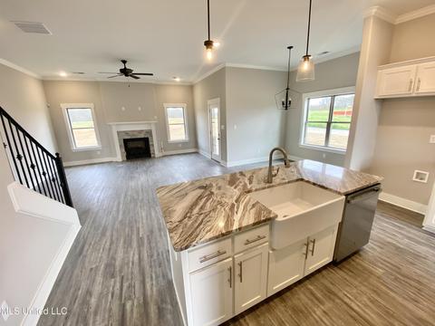 2944 Melanie Cv, Nesbit, MS 38651 photo 2
