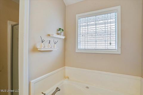270 Ashton Way, Brandon, MS 39047 photo 19