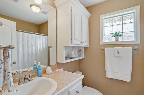 270 Ashton Way, Brandon, MS 39047 photo 21