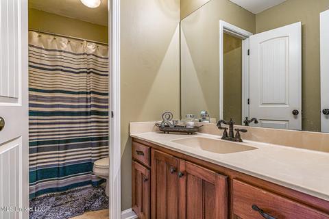 1667 Farindale Cv, Nesbit, MS 38651 photo 21