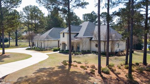 113 Mcrae Pt, Madison, MS 39110 photo 61