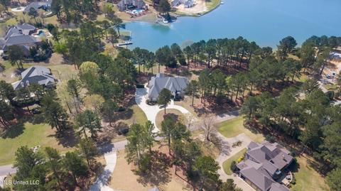 113 Mcrae Pt, Madison, MS 39110 photo 57