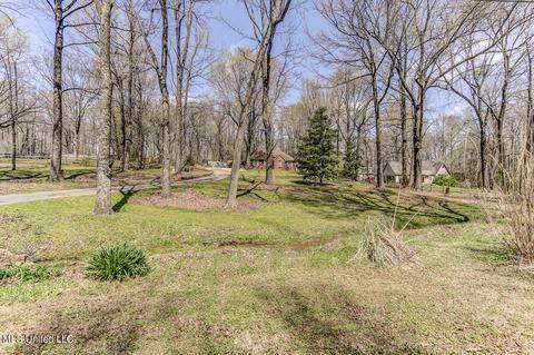 6450 River Birch Rd, Walls, MS 38680 photo 27